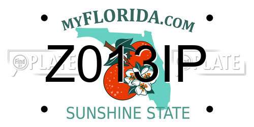 Z013IP Florida License Plate