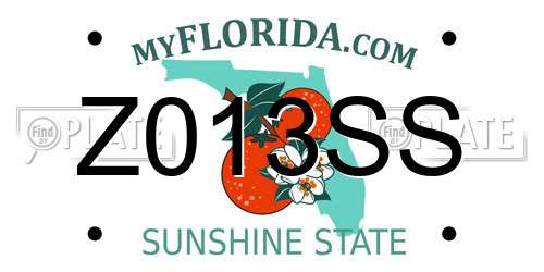 Z013SS Florida License Plate
