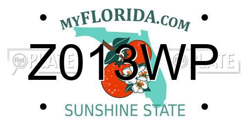 Z013WP Florida License Plate