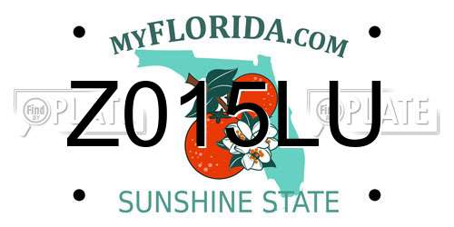 Z015LU Florida License Plate