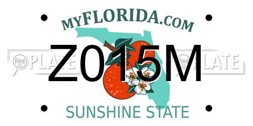 Z015M Florida License Plate