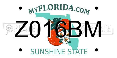 Z016BM Florida License Plate