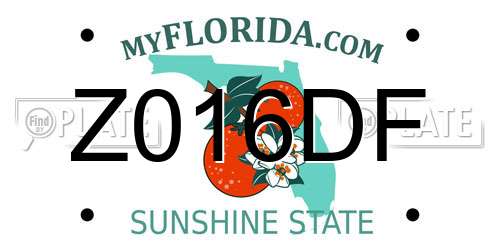 Z016DF Florida License Plate
