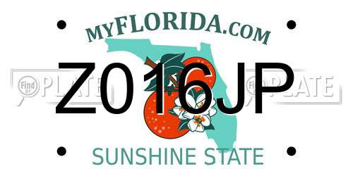 Z016JP Florida License Plate