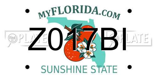 Z017BI Florida License Plate