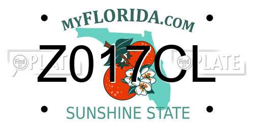 Z017CL Florida License Plate