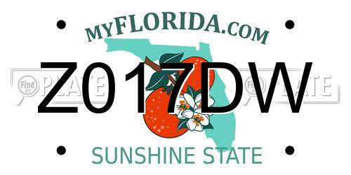 Z017DW Florida License Plate
