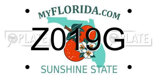 Z019G Florida License Plate