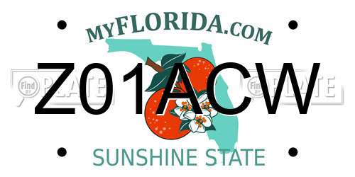 Z01ACW Florida License Plate
