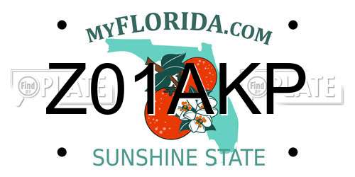 Z01AKP Florida License Plate
