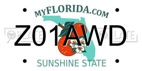 Z01AWD Florida License Plate