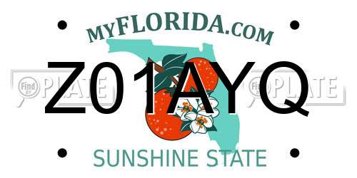 Z01AYQ Florida License Plate