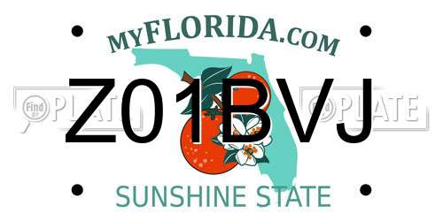 Z01BVJ Florida License Plate
