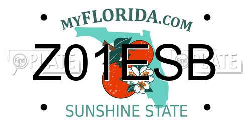 Z01ESB Florida License Plate