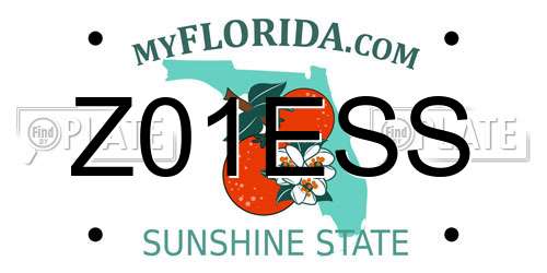 Z01ESS Florida License Plate
