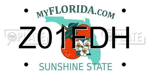 Z01FDH Florida License Plate