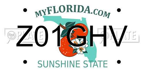 Z01GHV Florida License Plate