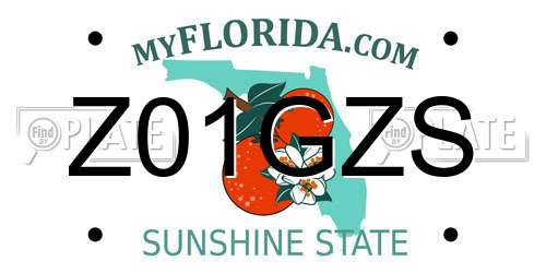 Z01GZS Florida License Plate