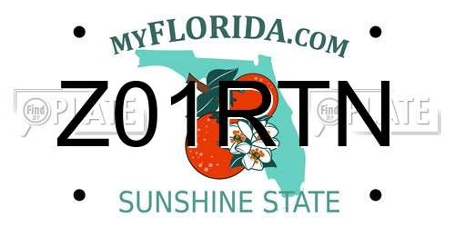 Z01RTN Florida License Plate