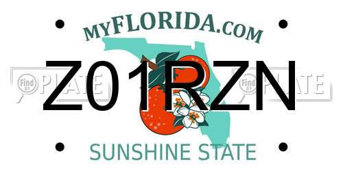 Z01RZN Florida License Plate