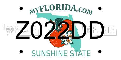 Z022DD Florida License Plate