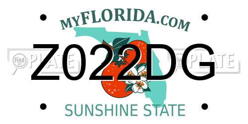 Z022DG Florida License Plate