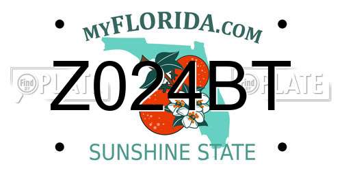 Z024BT Florida License Plate