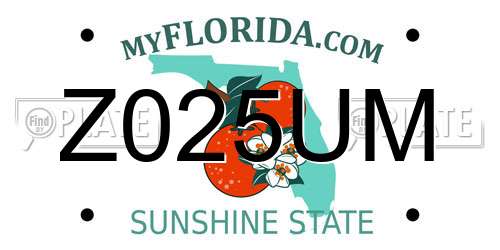 Z025UM Florida License Plate