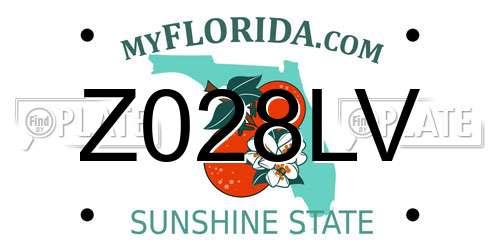 Z028LV Florida License Plate