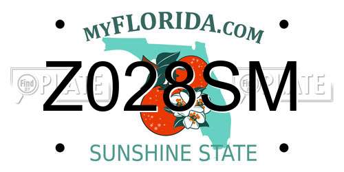 Z028SM Florida License Plate
