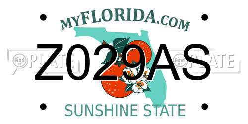 Z029AS Florida License Plate