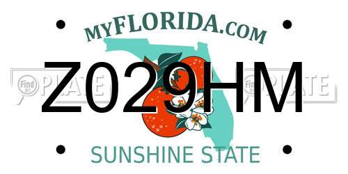 Z029HM Florida License Plate