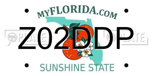Z02DDP Florida License Plate