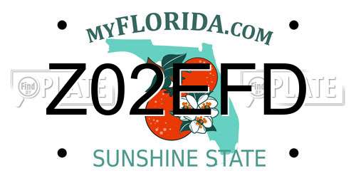 Z02EFD Florida License Plate