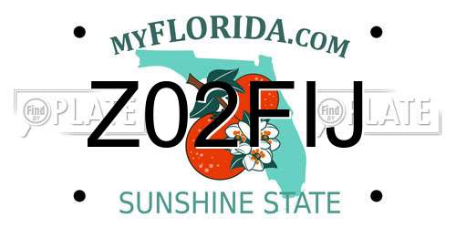 Z02FIJ Florida License Plate