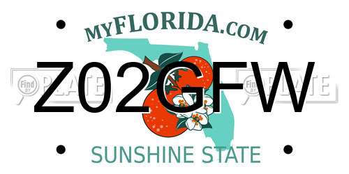 Z02GFW Florida License Plate