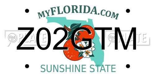 Z02GTM Florida License Plate