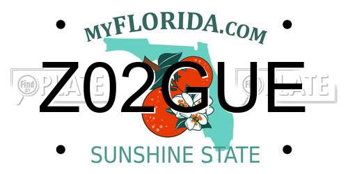 Z02GUE Florida License Plate