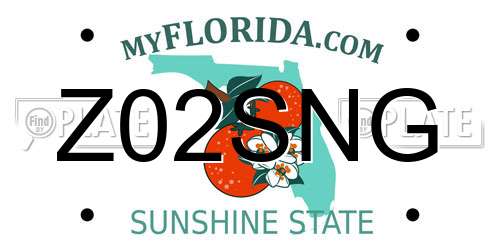 Z02SNG Florida License Plate
