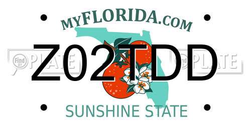 Z02TDD Florida License Plate