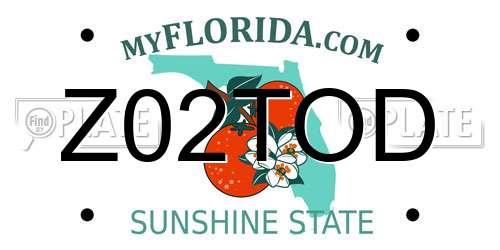 Z02TOD Florida License Plate