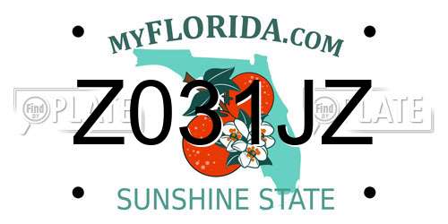 Z031JZ Florida License Plate