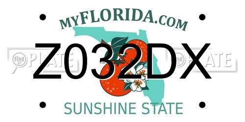 Z032DX Florida License Plate