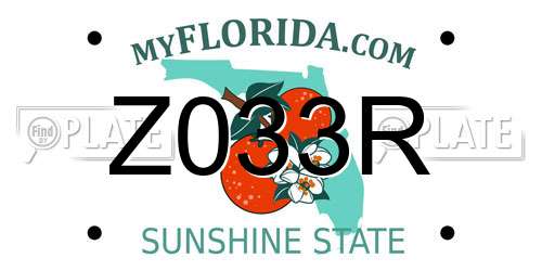 Z033R Florida License Plate