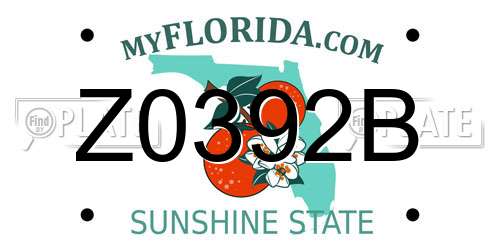 Z0392B Florida License Plate
