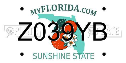 Z039YB Florida License Plate