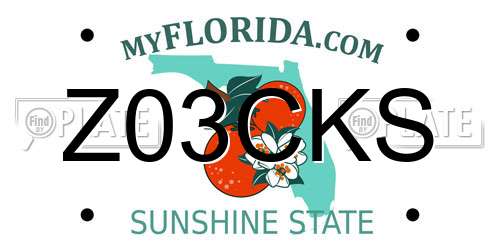 Z03CKS Florida License Plate