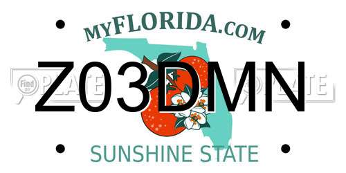 Z03DMN Florida License Plate