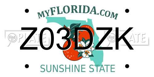 Z03DZK Florida License Plate
