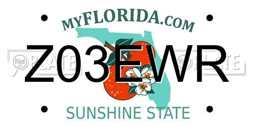 Z03EWR Florida License Plate